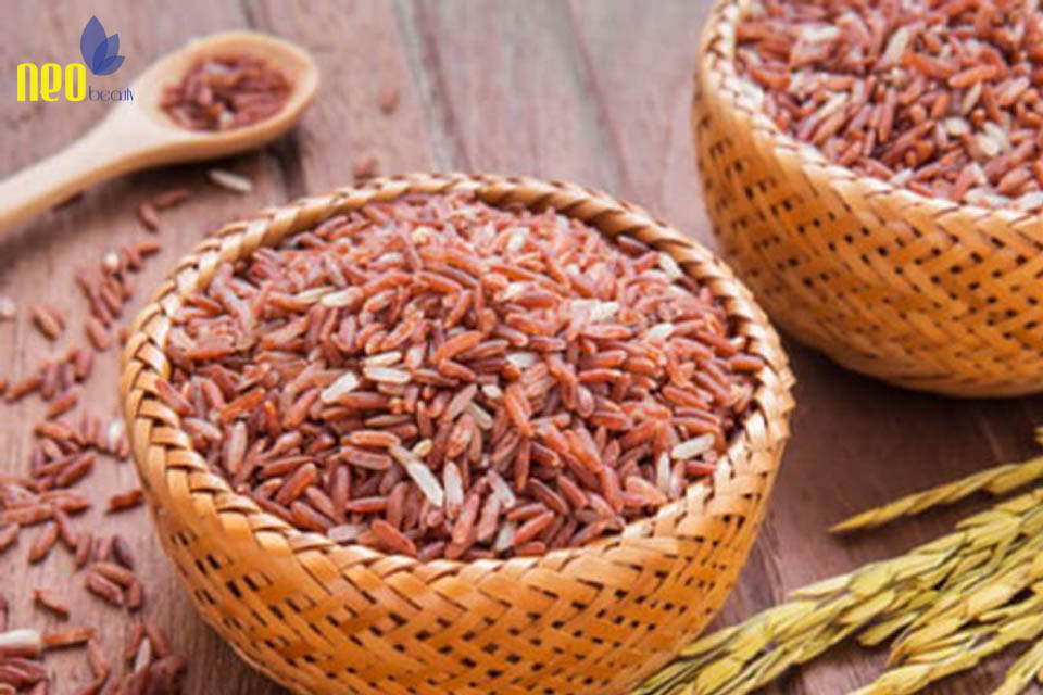 thuc pham ho tro tri mun 5