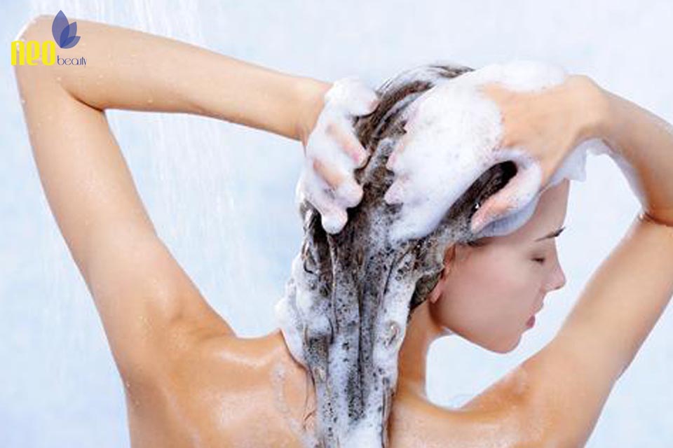 cach tri gau hieu qua 3