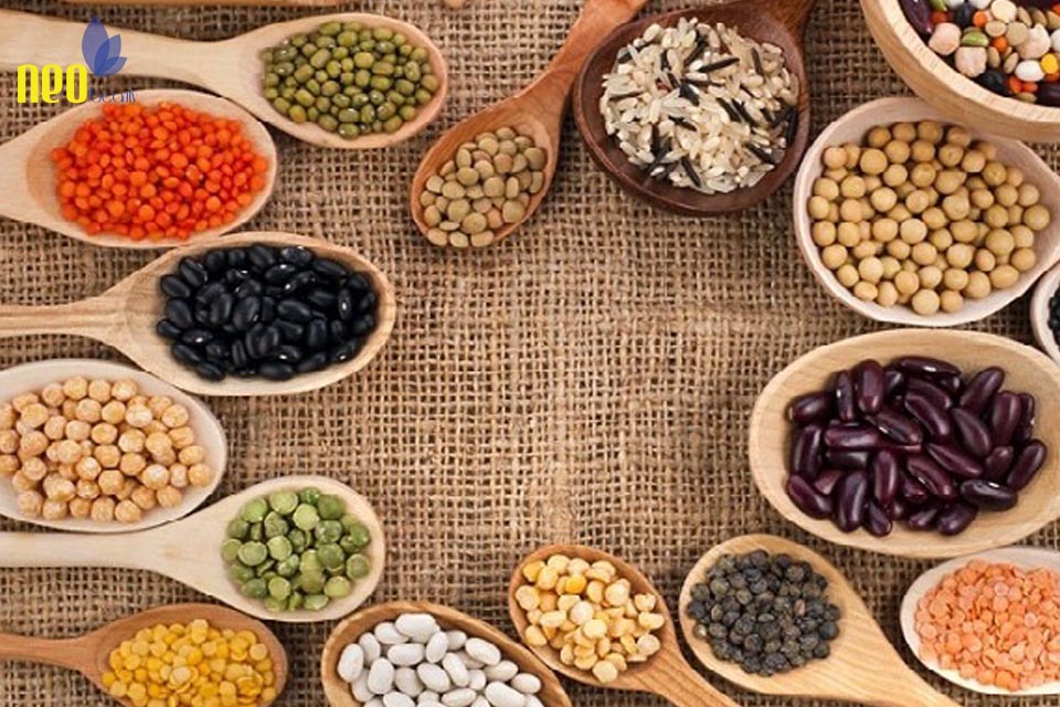 thuc don giam mo bung 5