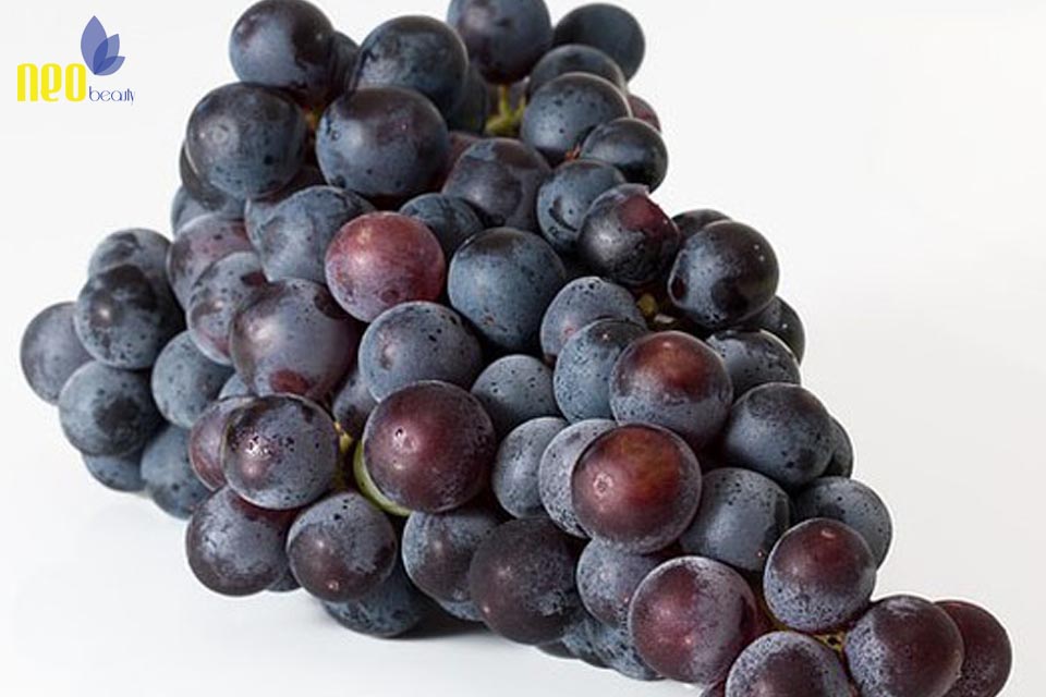 thuc pham chong lao hoa 6