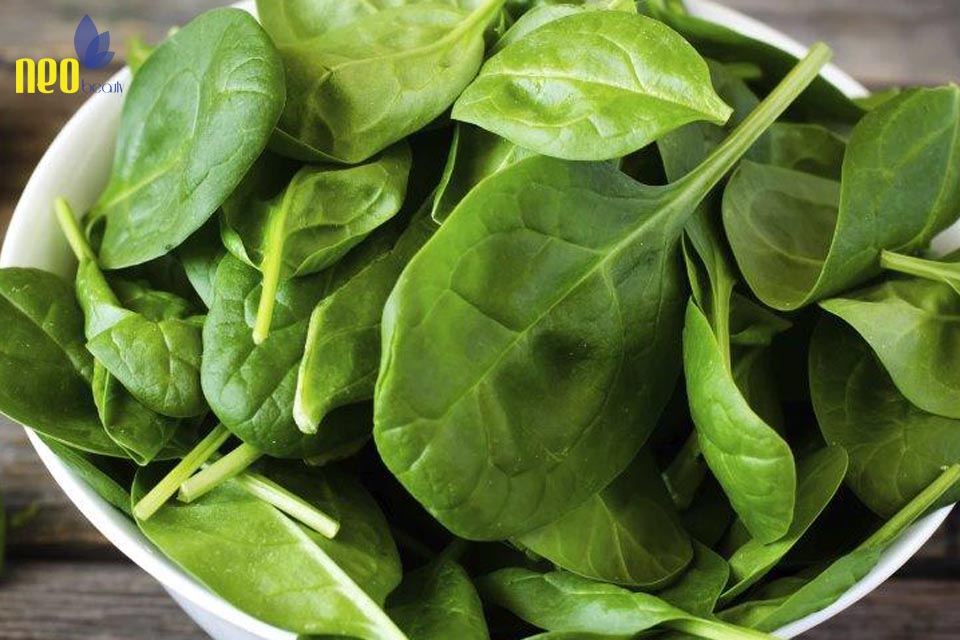 thuc pham ngan rung toc 5