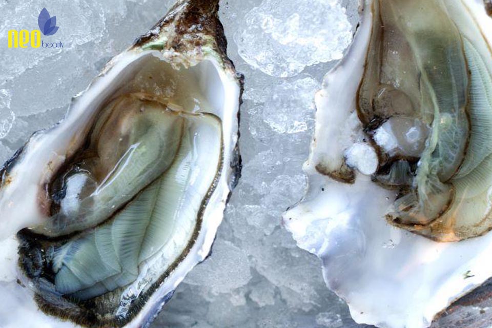 thuc pham ngan rung toc 6