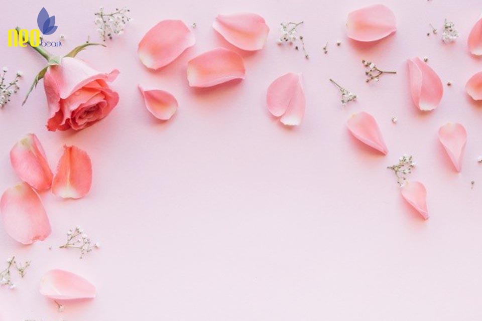 cach tri tham moi tai nha 3